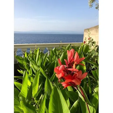 In Haus Tomica Comfortable *