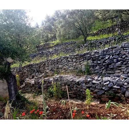 In Haus Tomica Comfortable Casa vacanze *